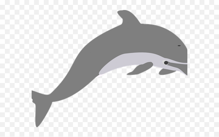 Spinner Dolphin Clipart Grey Dolphin - Dolphin Transparent Clipart Emoji,Dolphin Clipart