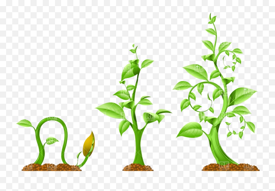 Plant Growth Download Royalty Free - Energy Efficient Lighting Clipart Emoji,Growth Clipart