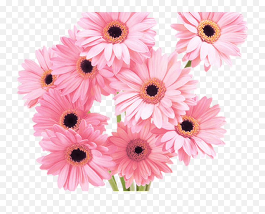 Download Flowers Pink Tumblr Vaporwave Aesthetic - Flower Aesthetic Flowers Pink Png Emoji,Tumblr Flowers Transparent