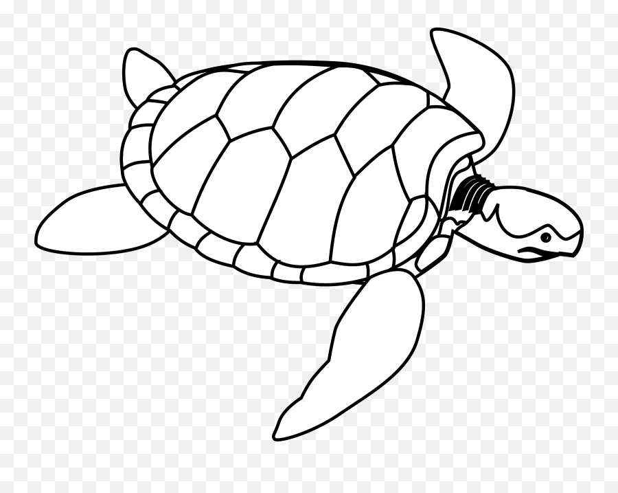 Sea Turtle As A Picture For Clipart - Turtle Outline Drawing Svg Emoji,Sea Turtle Clipart