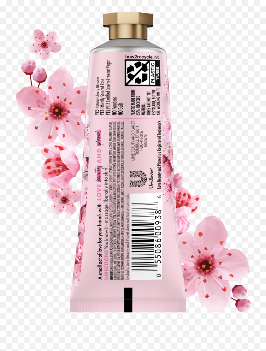 Cherry Blossom U0026 Tea Rose Love Beauty And Planet Emoji,Cherry Blossoms Transparent