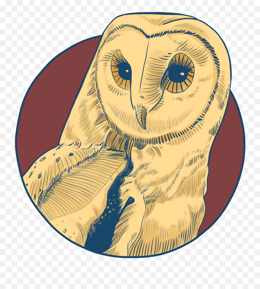 Download Barn Owl - Full Size Png Image Pngkit Emoji,Ovo Owl Png