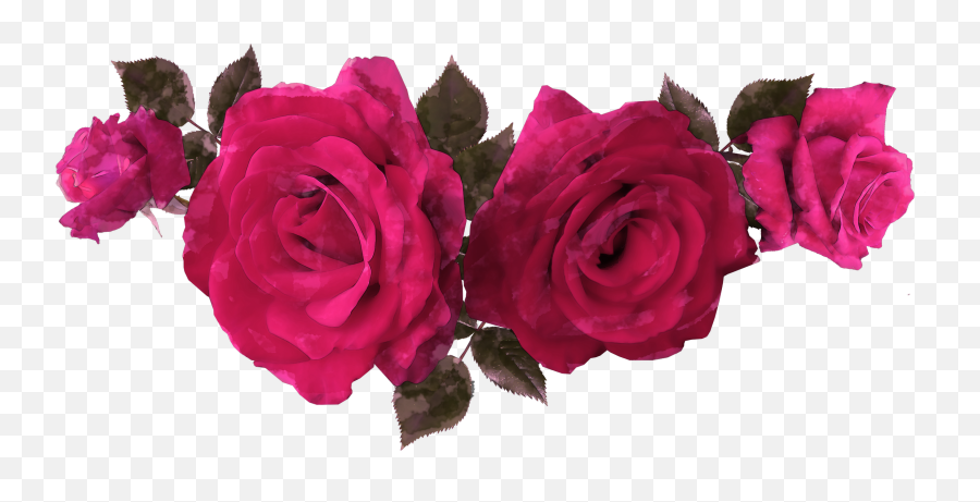 Download Hd Free Watercolor Rose Flowers Transparent Png Emoji,Watercolor Roses Png
