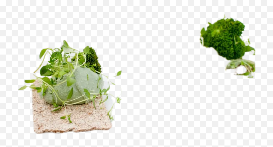 Green Vegetable On White Ceramic Plate Transparent Emoji,Broccoli Transparent Background