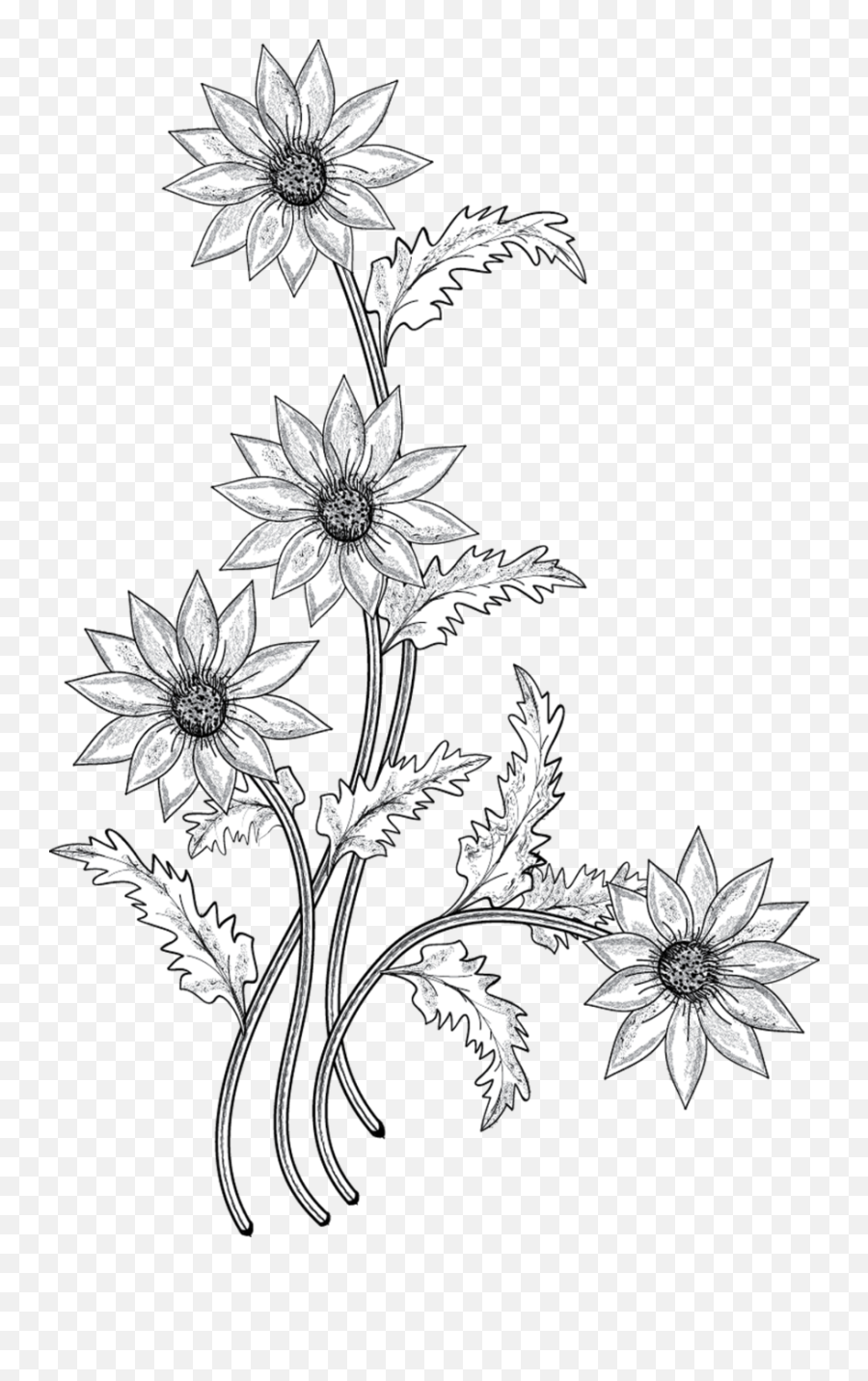 Download Black And White Flower With Stem Clipart - Flower Transparent Flower Drawing Png Emoji,Stem Clipart