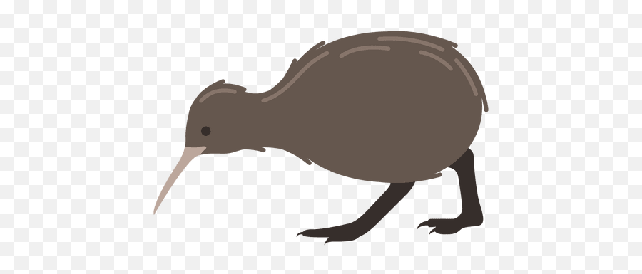 Kiwi Bird Apteryx - Transparent Png U0026 Svg Vector File Kiwi Bird Cartoon Png Emoji,Bird Transparent Background