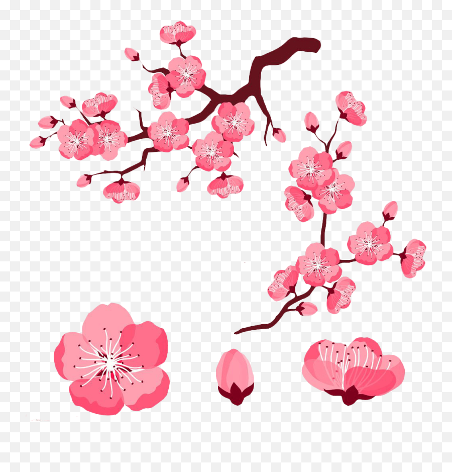 Download Cherry Blossom Petals Clipart 4 By Jared - Cherry Cartoon Cherry Blossom Flower Emoji,Cherry Blossom Clipart