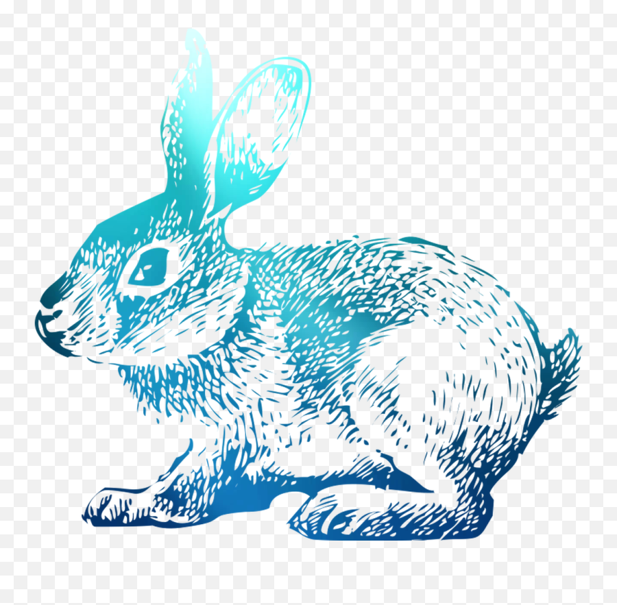 Download Domestic T - Shirt Hoppy Rabbit Easter Bunny Clipart Domestic Rabbit Emoji,Easter Bunny Clipart