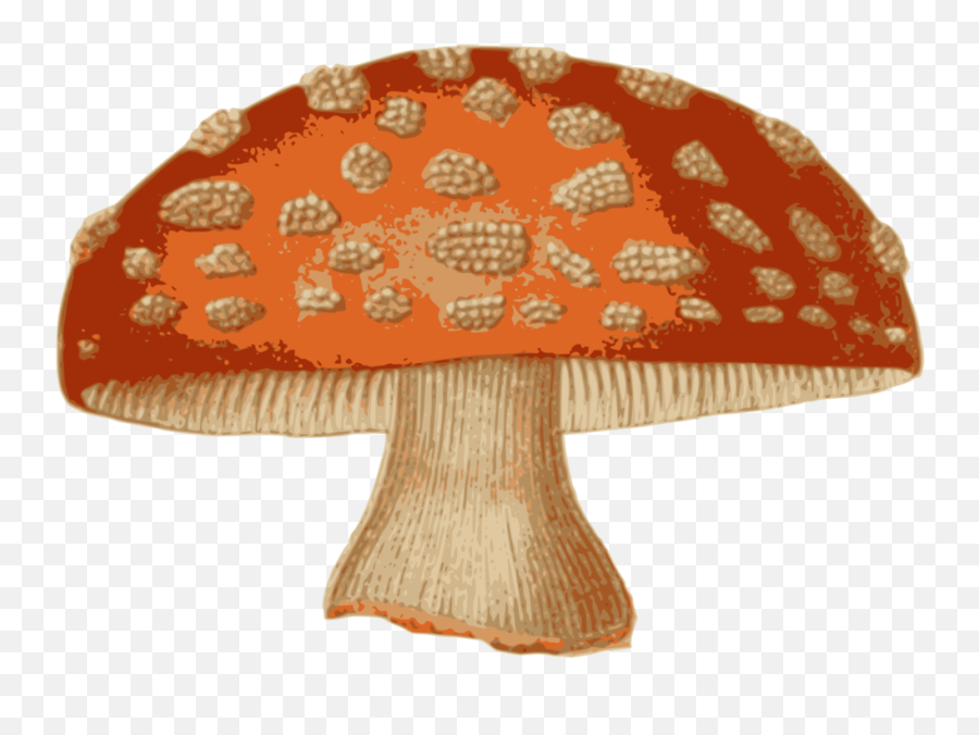 Mushroomagariccap Png Clipart - Royalty Free Svg Png Emoji,Poison Clipart