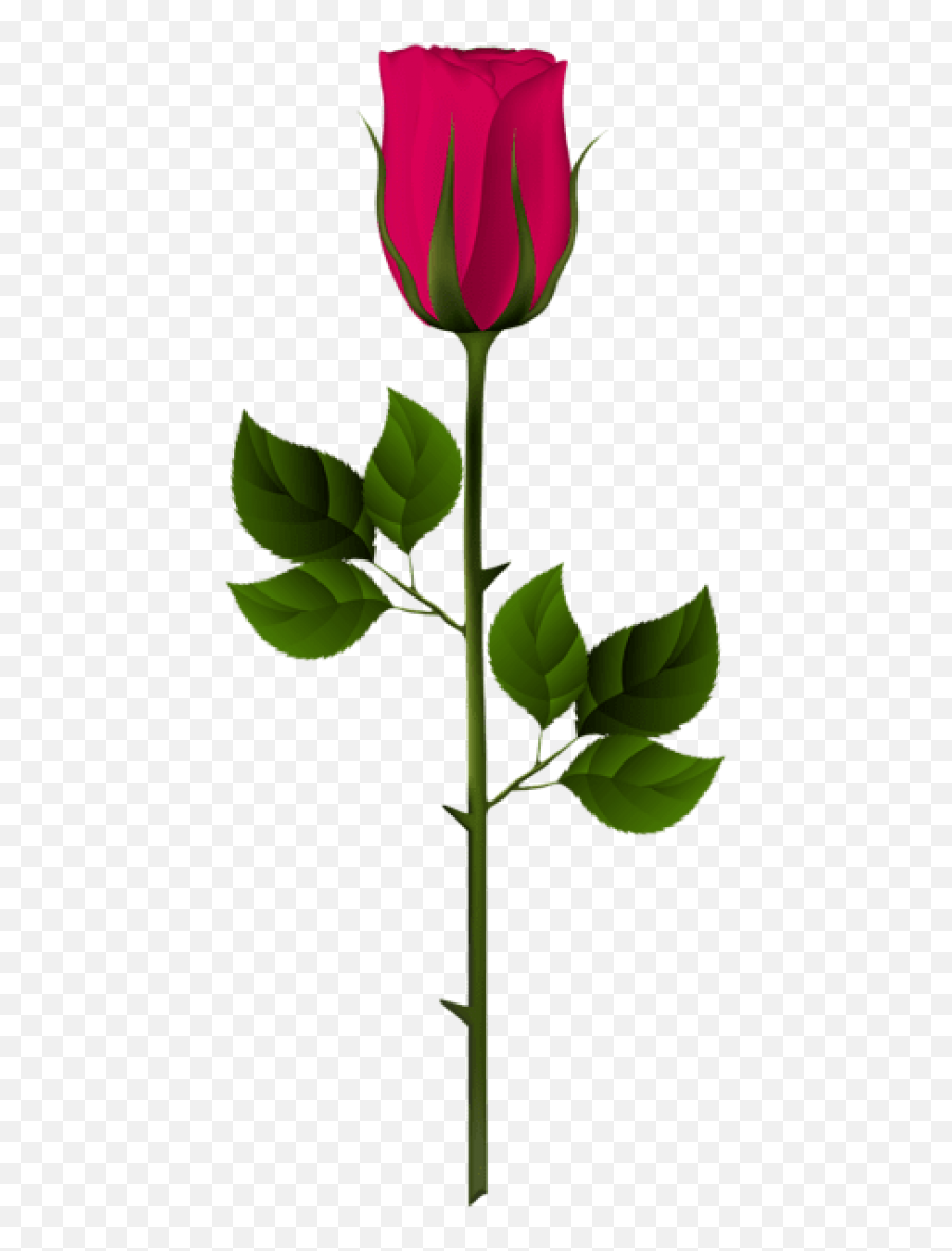 Free Png Pink Rose Bud Png Images Transparent - Garden Roses Rose Bud Clipart Png Emoji,Free Rose Clipart