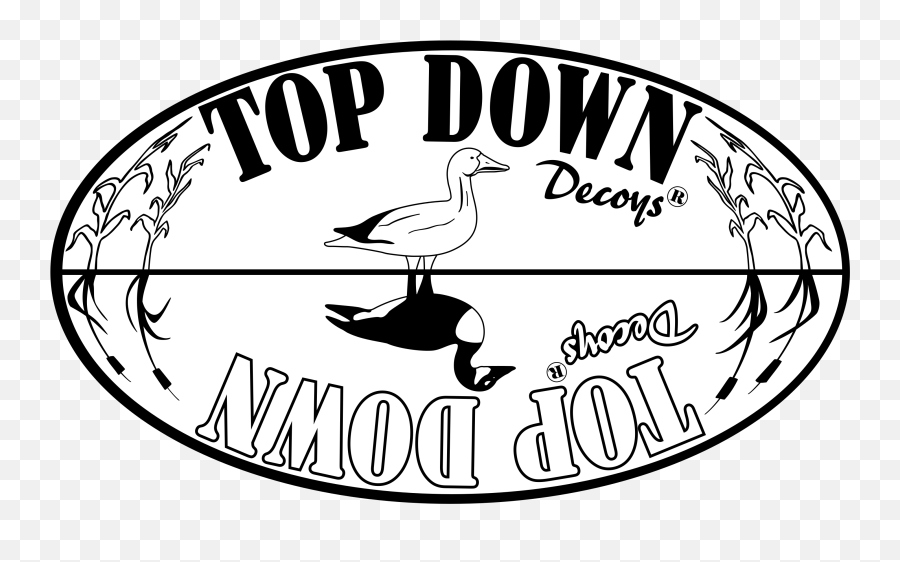 Top Down Decoys Bird Hunting Decoys Goose Decoys Duck - Language Emoji,Goose Logo