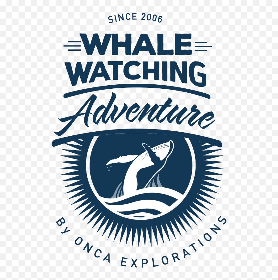Whale Watching Mazatlan Onca Explorations Emoji,Humpback Whale Png