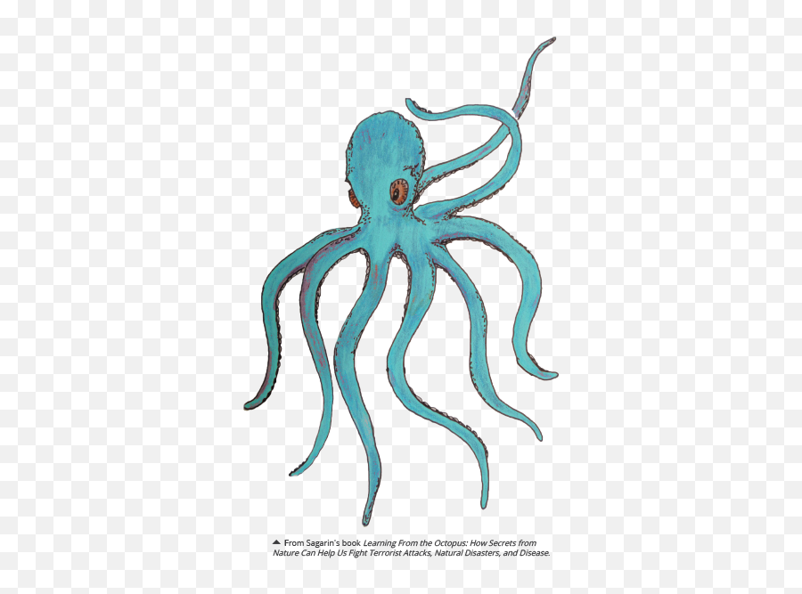 Octopus - Common Octopus Emoji,Octopus Png