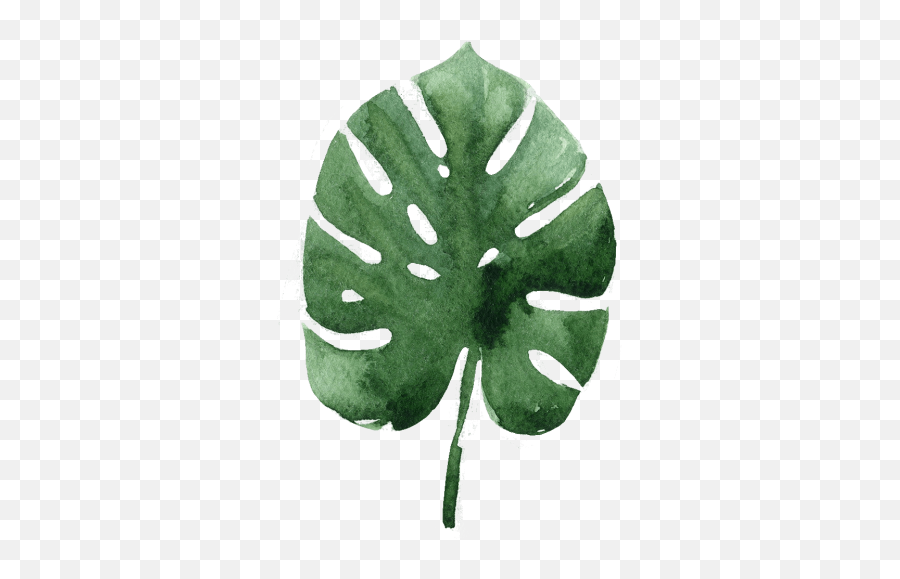 Tripadvisor Logo - Transparent Tropical Leaves Watercolor Tropical Leaves High Resolution Watercolor Emoji,Watercolor Png
