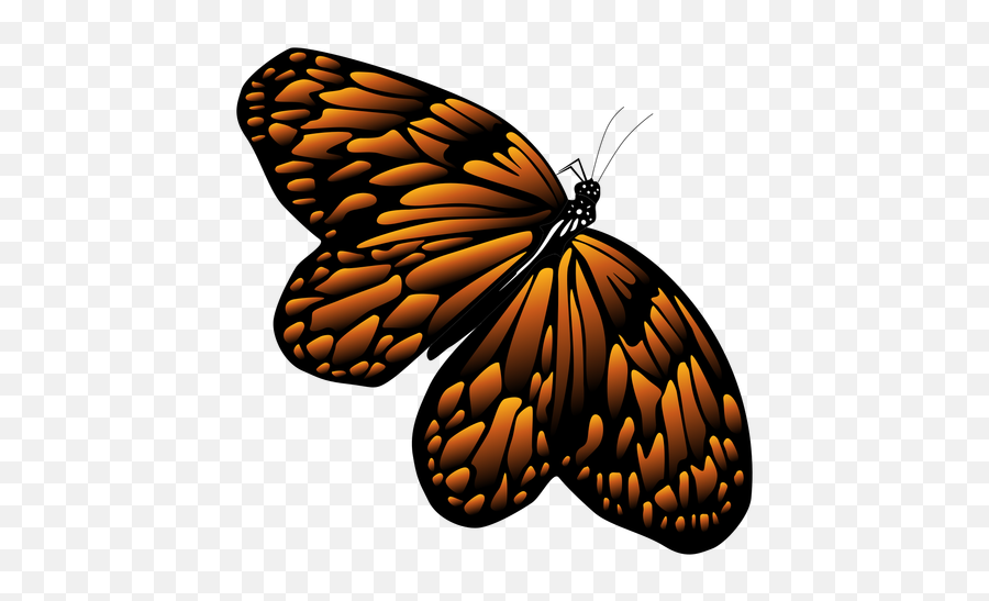 Butterfly In Flight Icon Butterfly - Transparent Png U0026 Svg Monarch Butterfly Emoji,Butterfly Transparent