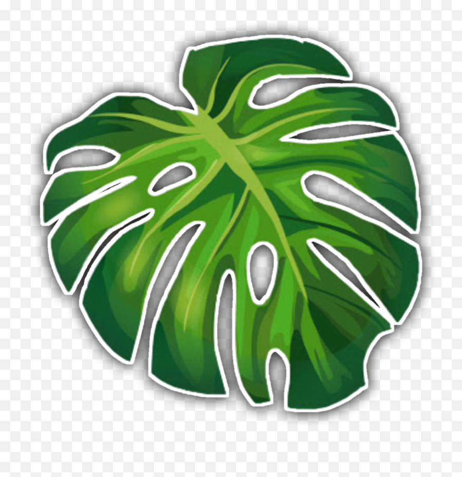 Aesthetic - Monstera Plants Cake Topper Printable Emoji,Tropical Leaf Clipart
