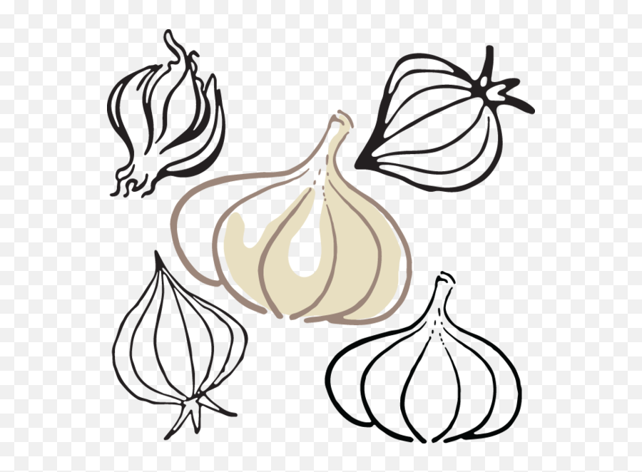 566 Garlick Clip Art Vector Clipart Clipart Images - Fresh Emoji,Garlic Clipart