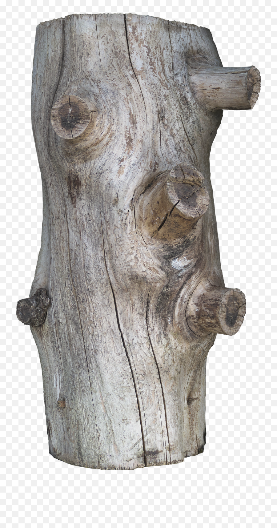 Tribe Trunk Wood Rindenlos Log - Log With Branches Emoji,Log Png