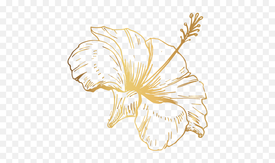 About The Guest Winemaker U2014 Options For All Emoji,Flower Sketch Png