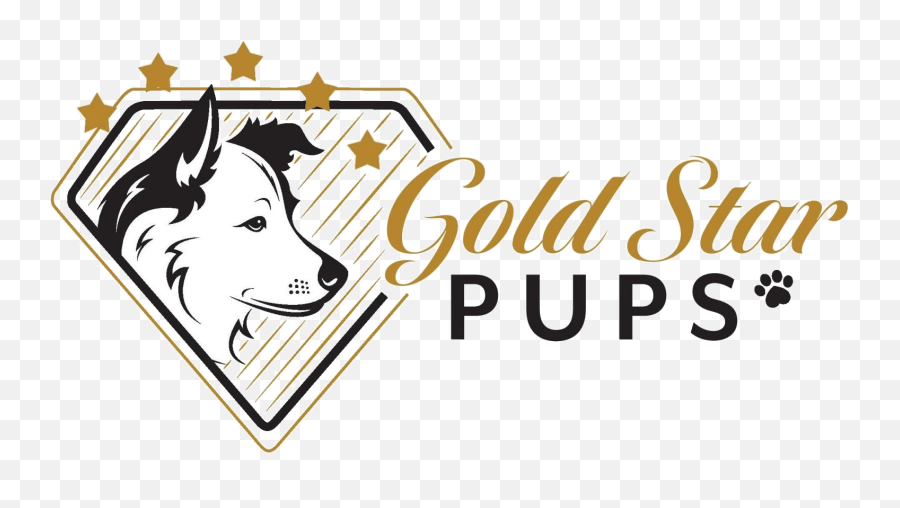 Oliver Gold Star Pups Llc - Language Emoji,Gold Star Png