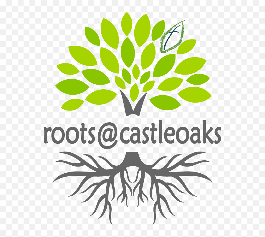 About Castle Oaks Covenant Church - Tree Roots Icon Emoji,Space Jesus Logo