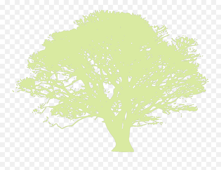Green Oak Tree Clip Art - Language Of Achievement Emoji,Oak Tree Clipart