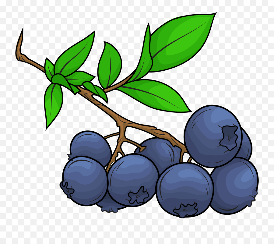 Blueberry Clipart - Clipart Blueberry Emoji,Blueberry Clipart