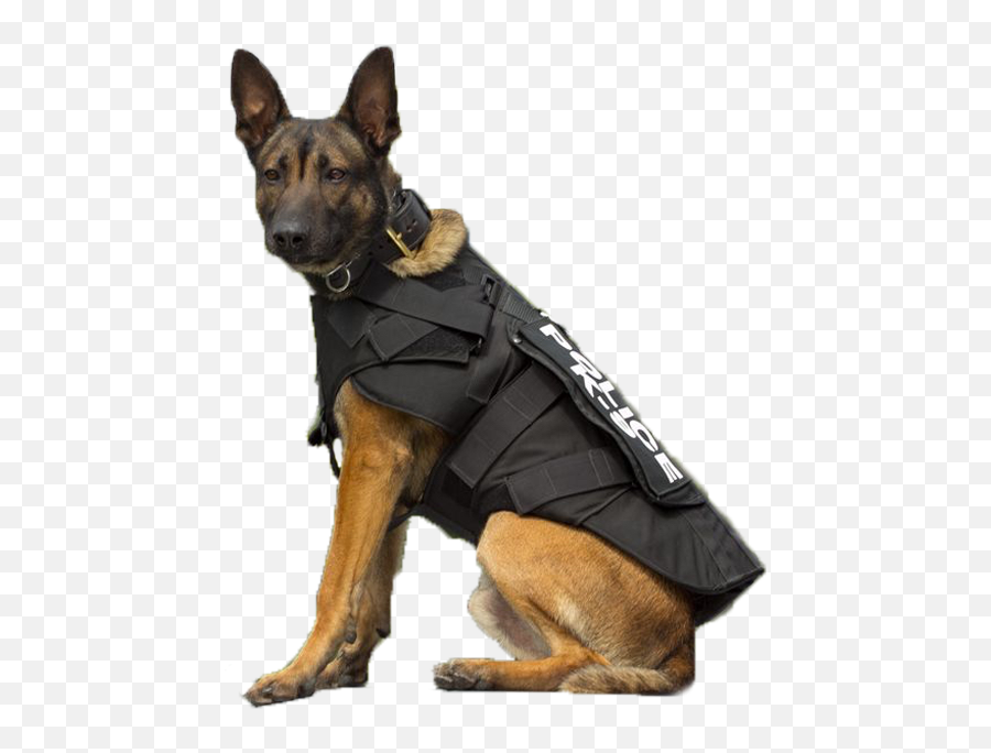 Police Dogs Dogs And Puppies German - K 9 Police Dog Png Emoji,Dog Png