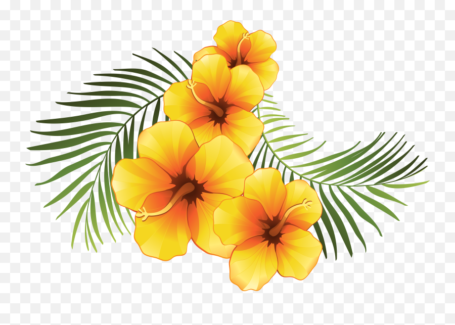 Hawaiian Clipart Hawaiian Pineapple Picture 1307126 - Transparent Background Transparent Natural Tropical Flowers Png Emoji,Hawaiian Clipart