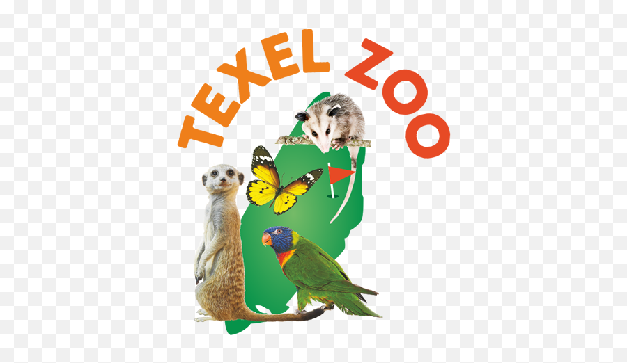 Logo - Texelzoo Species360 Texel Zoo Emoji,Zoo Logo