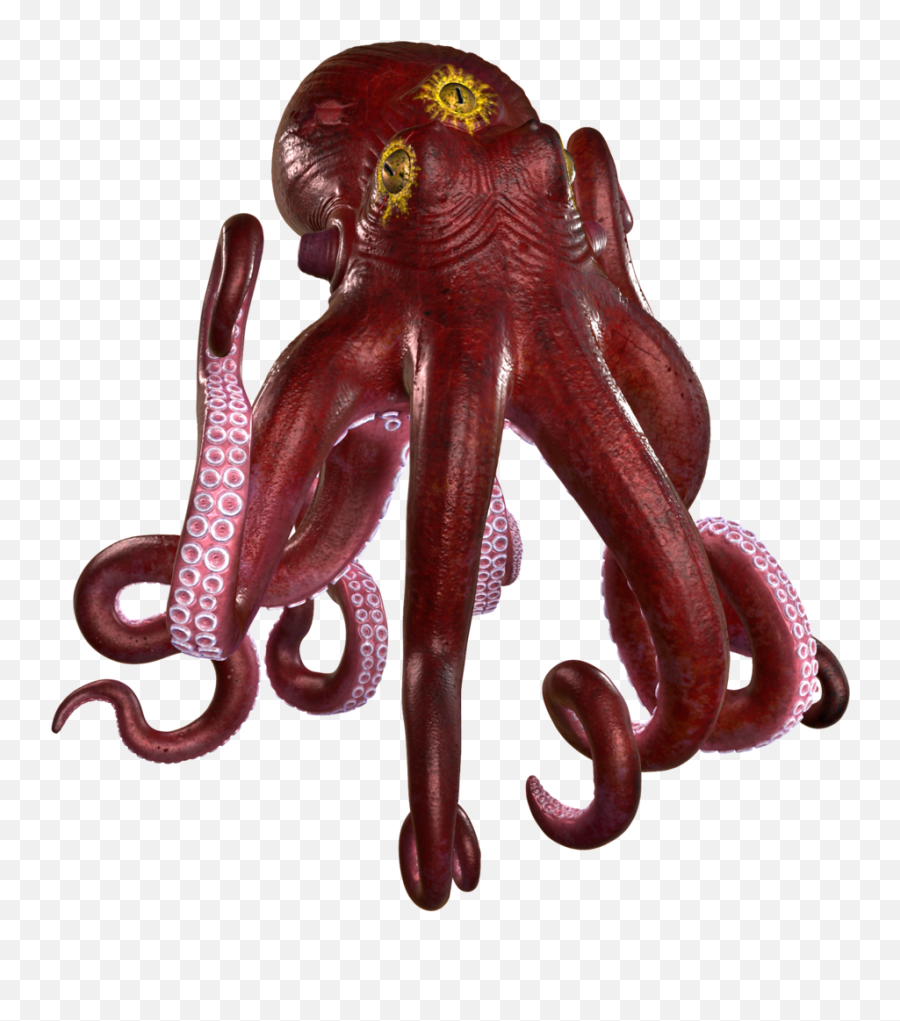 Hd Octopus Png Transparent Png Image - Common Octopus Emoji,Octopus Png