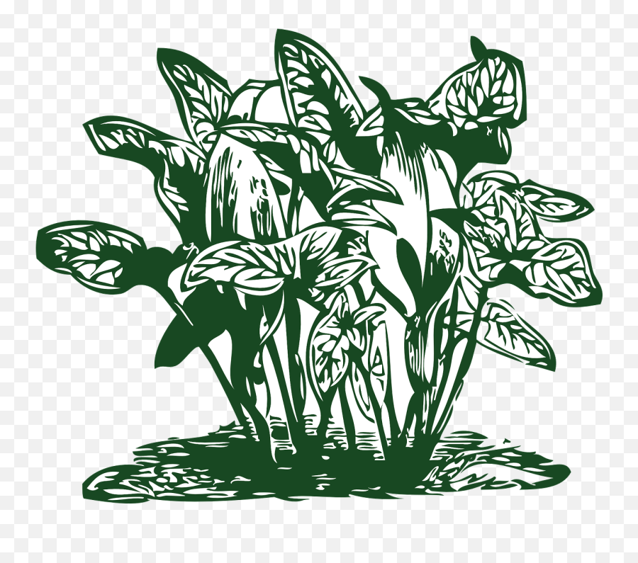 Plant Tropical Leaf - Free Vector Graphic On Pixabay Tropical Plants Svg Emoji,Tropical Leaf Png
