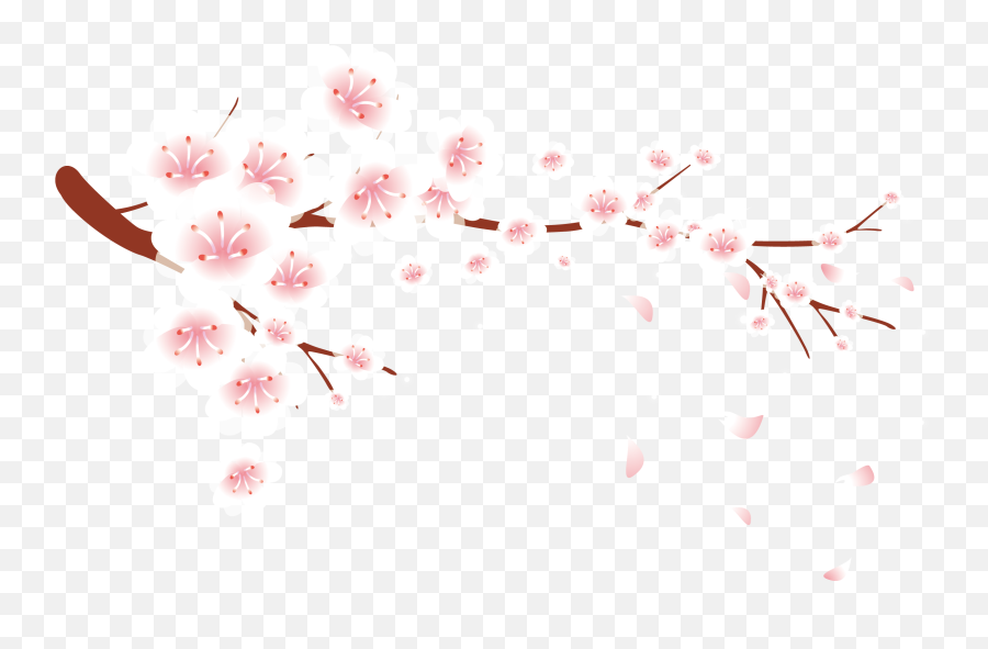 Japanese Flowers - Cherry Blossom Petals Falling Png Png Girly Emoji,Sakura Petals Png