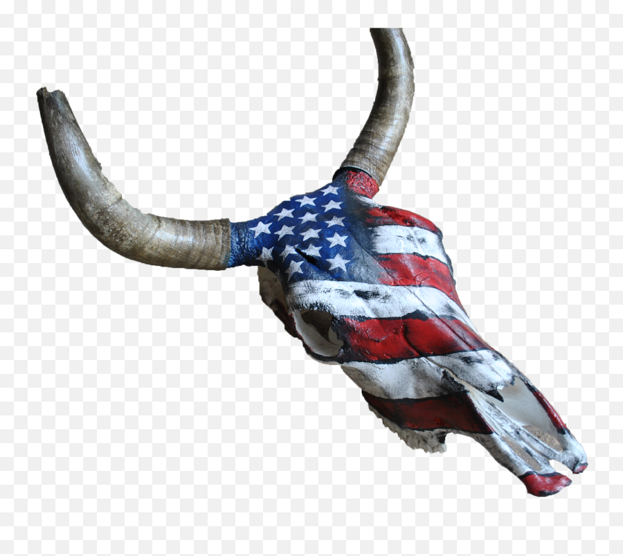 Home Kata Black Angus Bull Skull Of The Us Flag Clipart - Cow Skull Flag Drawing Emoji,U.s.flag Clipart