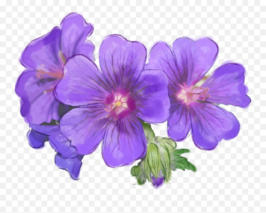 Purple Flower Bouquet Purple Flowers Hand Painted Emoji,Purple Flowers Png