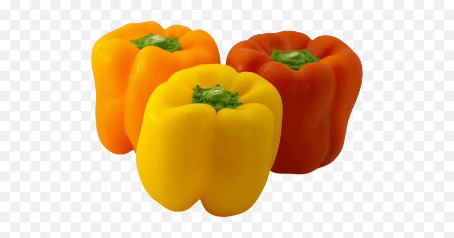 Bell Pepper They All Start Out Green And Change Color As They Emoji,Red Pepper Png