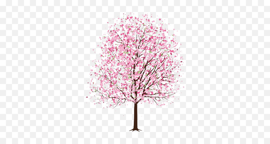 Cherry Blossom Tree Transparent U0026 Free Cherry Blossom Tree - Clip Art Apple Blossom Tree Emoji,Cherry Blossom Clipart