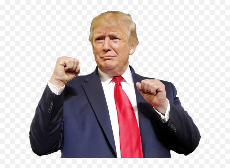 Donald Trump Transparent File - Transparent Picture Of Trump Emoji,Donald Trump Transparent