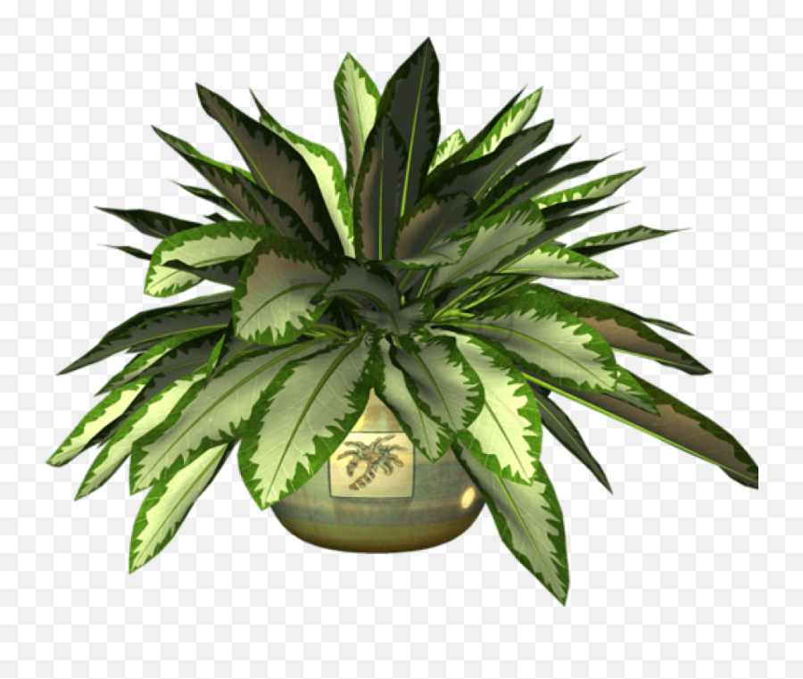 Ot Plant Clipart Botany - Clip Art Png I 649287 Png Flowerpot Emoji,Plant Clipart