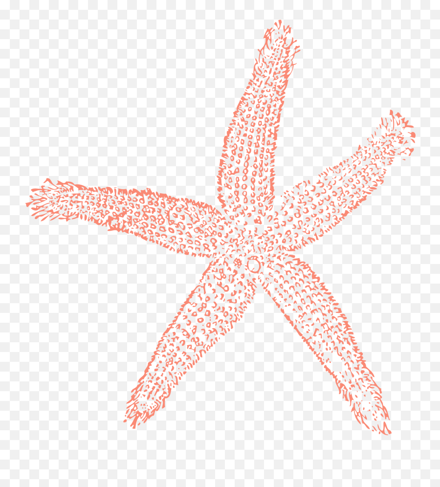 Clipart Of The Starfish Free Image - Coral Starfish Clip Art Emoji,Starfish Clipart