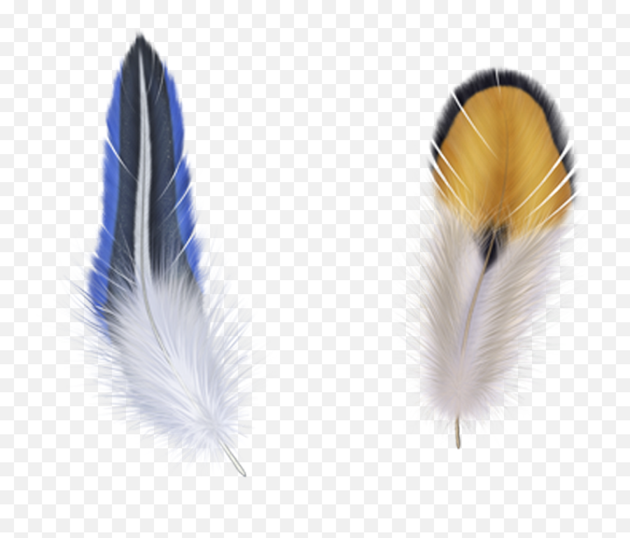 Feathers Clipart Bird Feather - Pluma Angel Color Emoji,Feathers Clipart