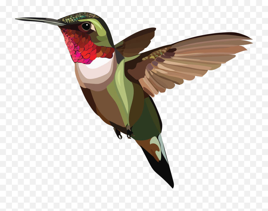 World Migratory Bird Day Featured Species - Hummingbird Emoji,Hummingbird Clipart Black And White