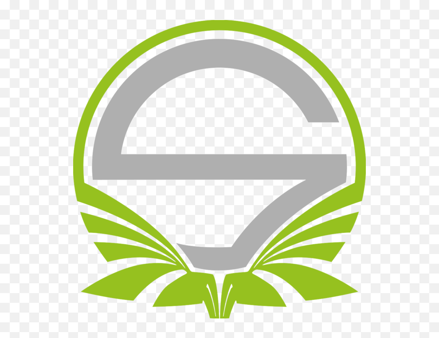 Green Crosshair Png - Team Singularity Team Singularity Singularity Esports Emoji,Crosshairs Logo
