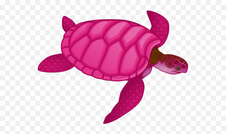 Download Sea Turtle Clipart Pink - Turtle Drawing Transparent Emoji,Sea Turtle Clipart