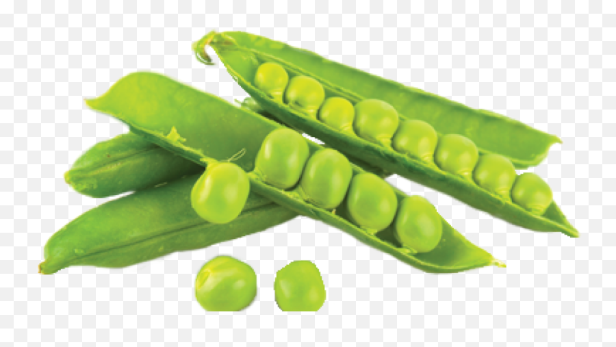 Peas Pick It Try It Like It Preserve It Emoji,Peas Png