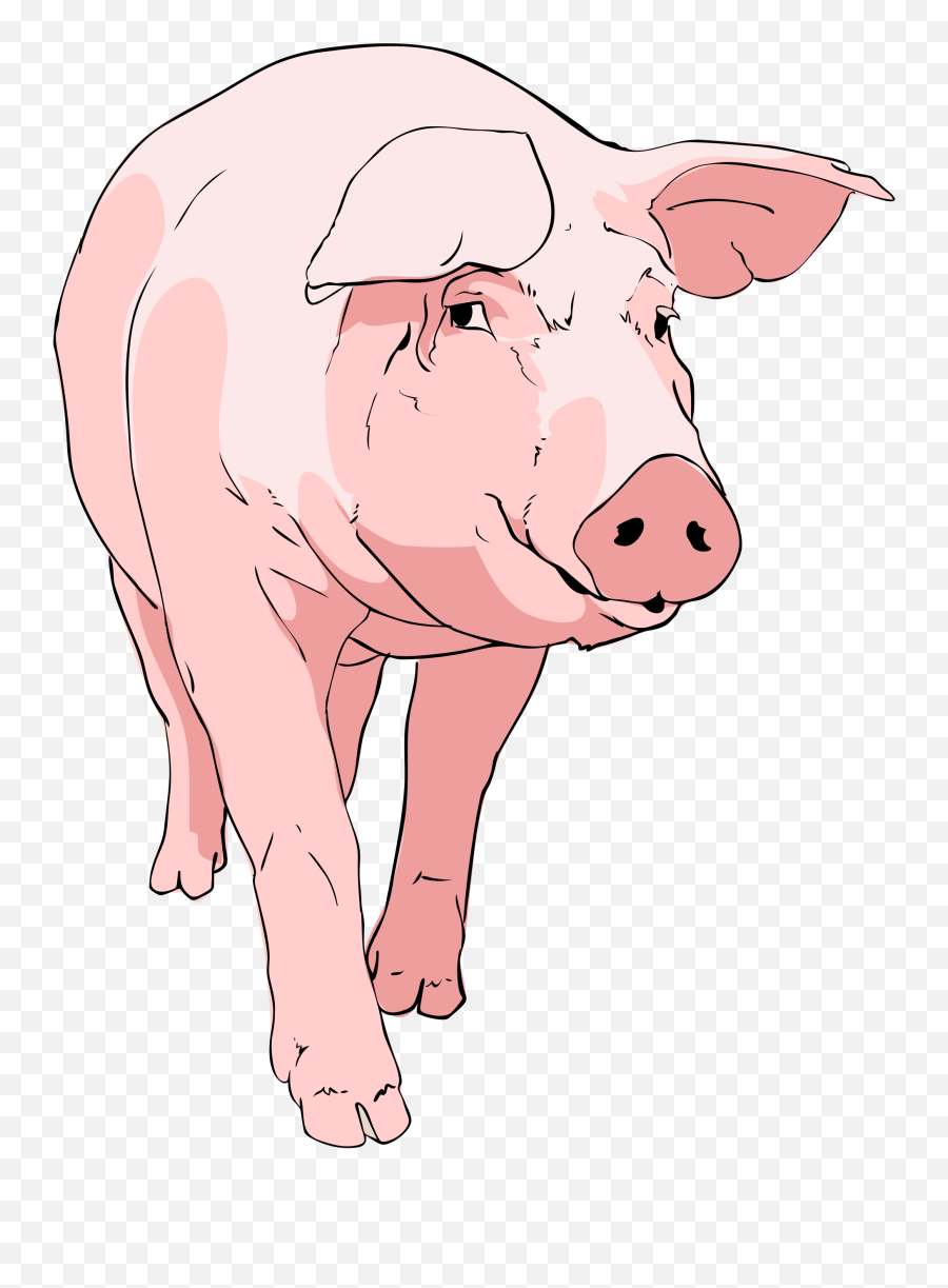 Pig Clipart 01 - Farm Pig Clipart Png Emoji,Pig Clipart