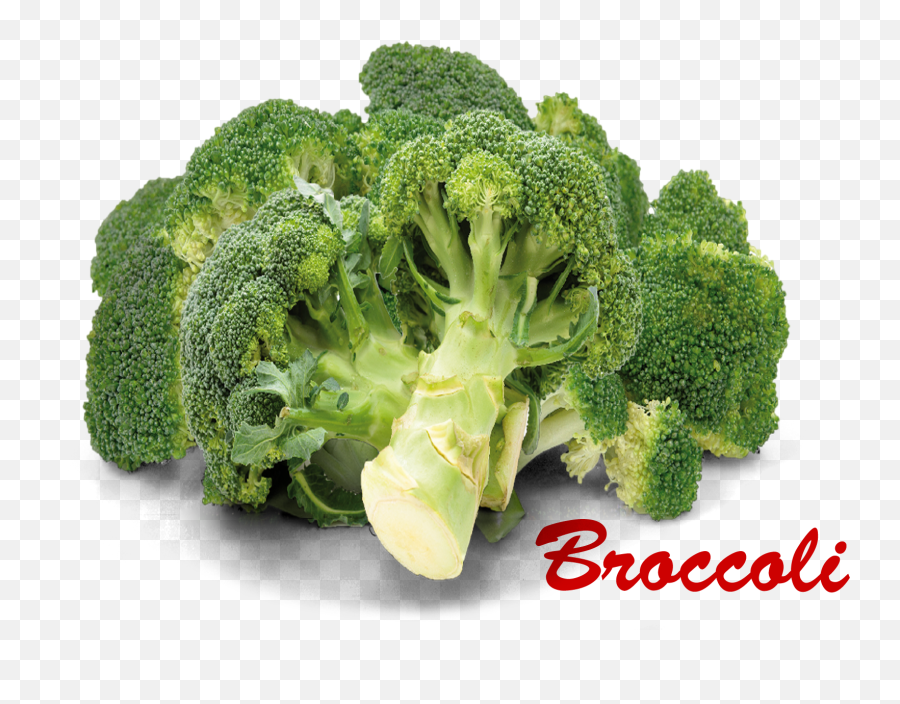 Download Hd Broccoli Pic With Name Transparent Png Image Emoji,Broccoli Transparent Background