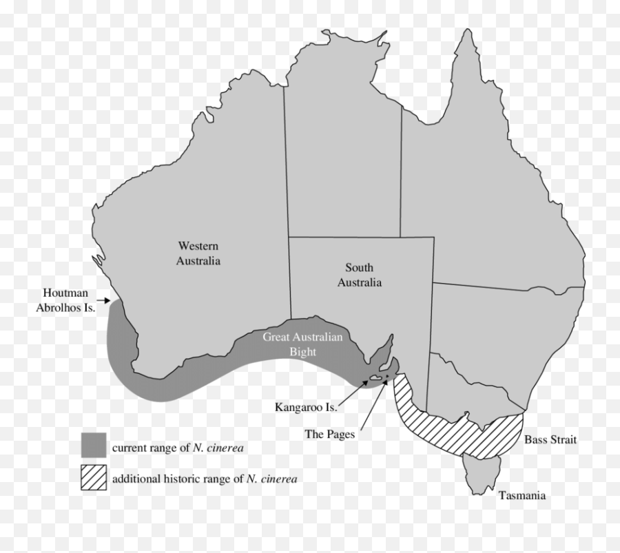 Distribution Of Extant Australian Sea Lion Breeding Colonies Emoji,Sea Lion Png