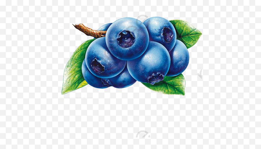 Blueberry Fruit Cartoon Png - Transparent Blueberry Cartoon Png Emoji,Blueberry Clipart
