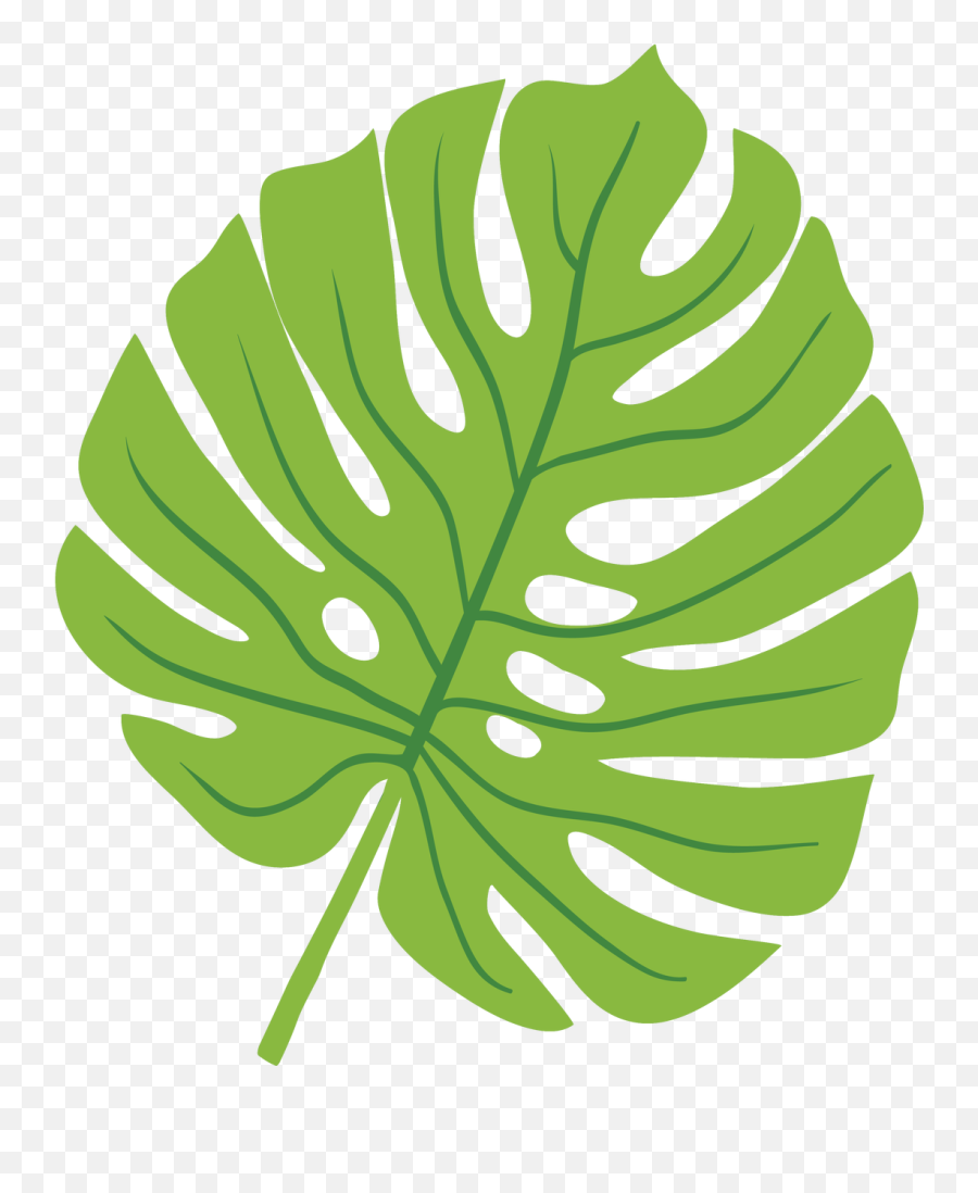 Tropical Leaf Svg Cut File - Hojas De Selva Png Emoji,Tropical Leaf Png